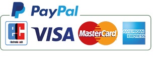 Einfaches Bezahlen mit Paypal